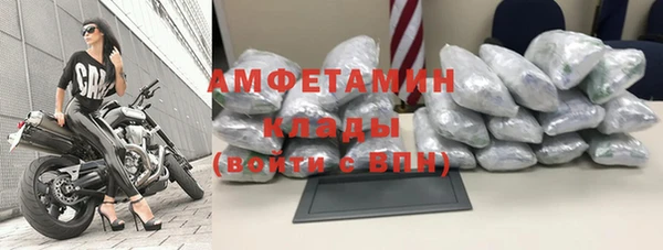 ПСИЛОЦИБИНОВЫЕ ГРИБЫ Бородино